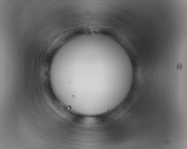 X0000112860218200909041601