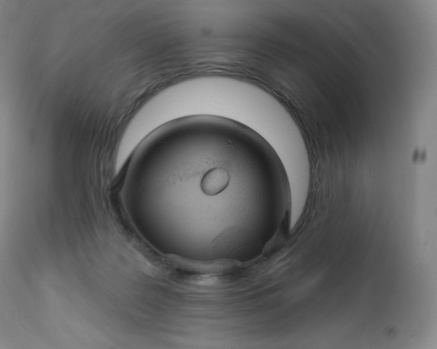 X0000112860219200909041601