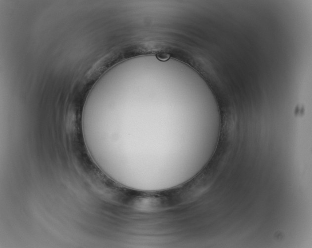 X0000112860220200909041601