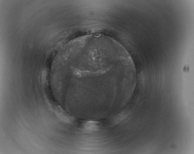 X0000112860222200909041601