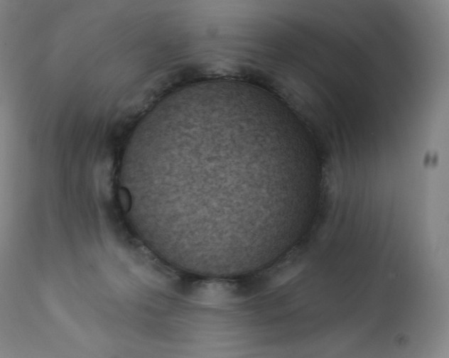 X0000112860223200909041601