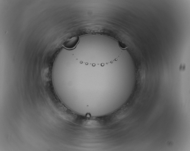 X0000112860224200909041601