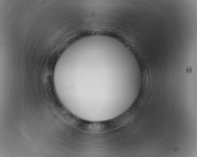 X0000112860225200909041601