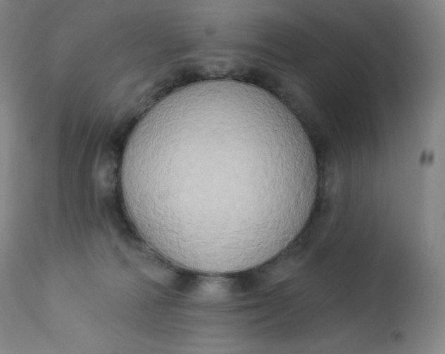 X0000112860226200909041601