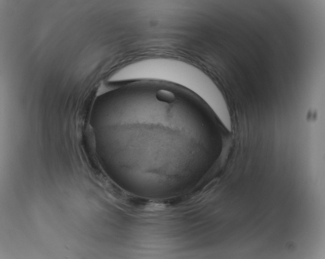 X0000112860227200909041601