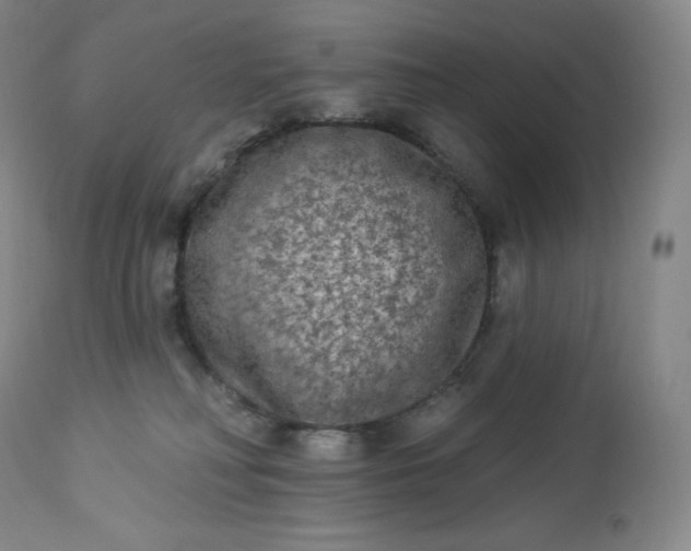 X0000112860230200909041601