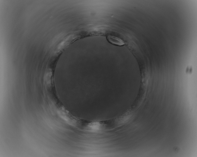 X0000112860231200909041601