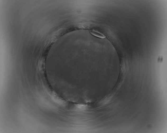 X0000112860233200909041601