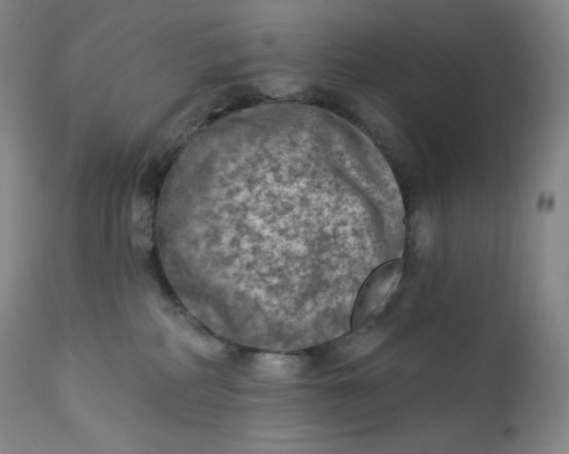 X0000112860234200909041601