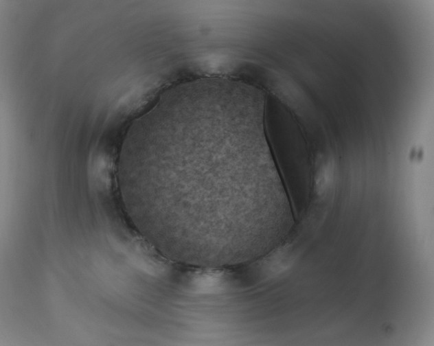 X0000112860235200909041601