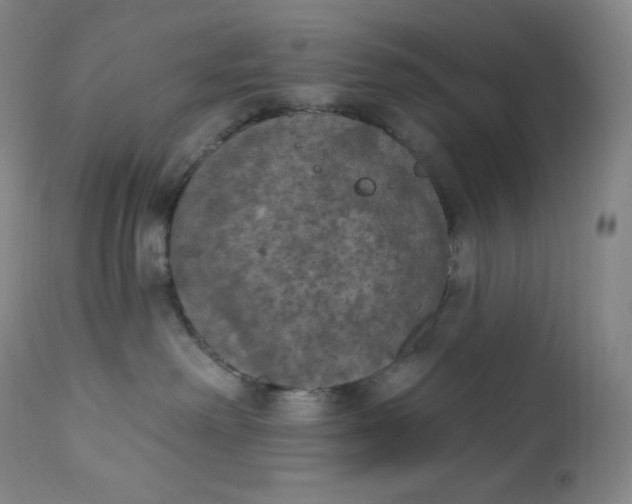 X0000112860238200909041601