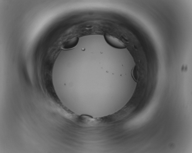 X0000112860239200909041601