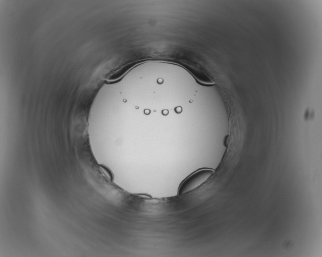 X0000112860240200909041601