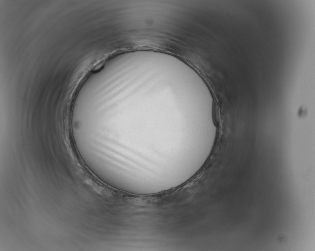 X0000112860241200909041600