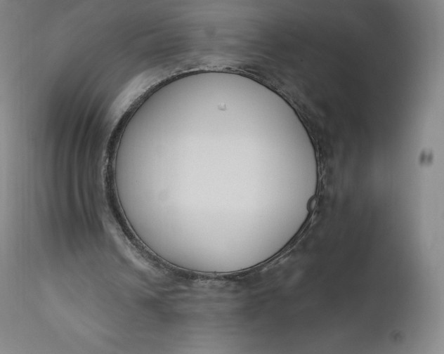 X0000112860242200909041600