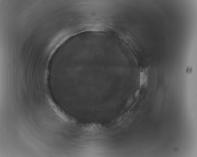 X0000112860243200909041600