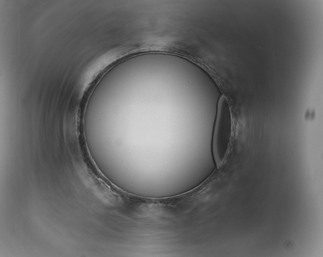 X0000112860244200909041600