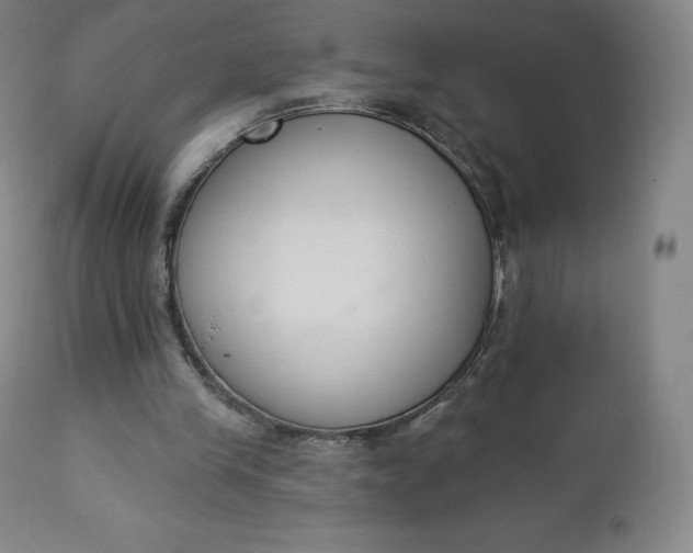 X0000112860245200909041600