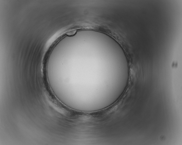 X0000112860246200909041600