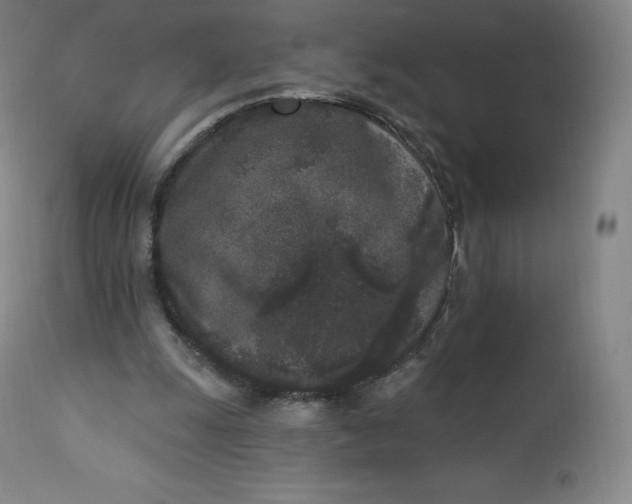 X0000112860247200909041600