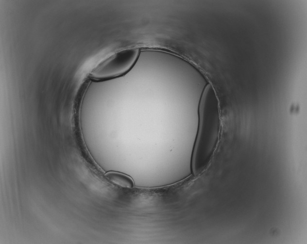 X0000112860248200909041600