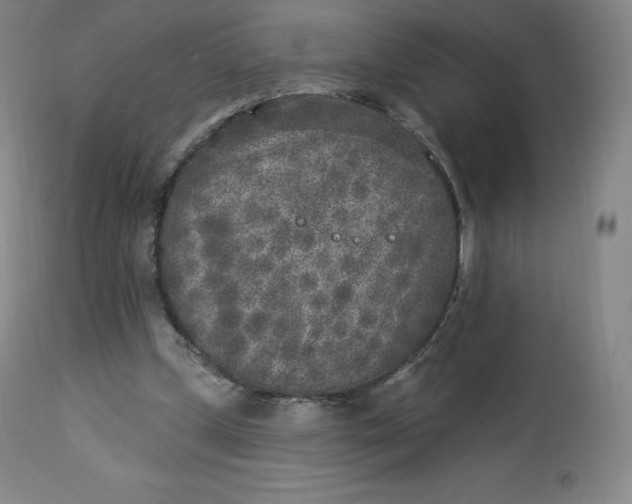 X0000112860249200909041600