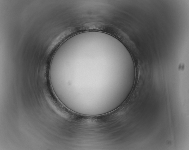 X0000112860250200909041600