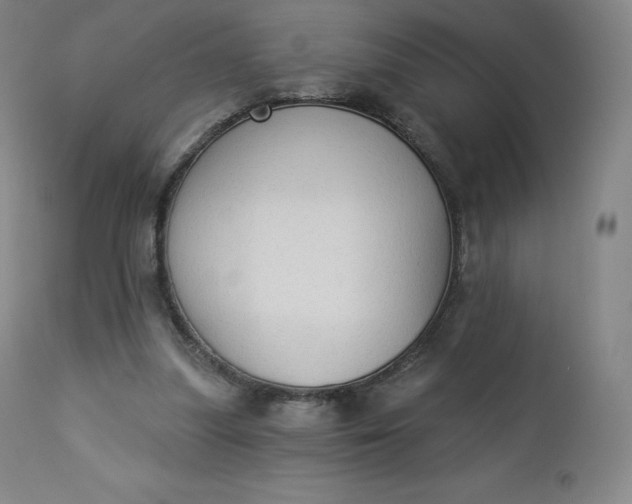 X0000112860251200909041600