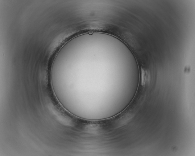 X0000112860252200909041600