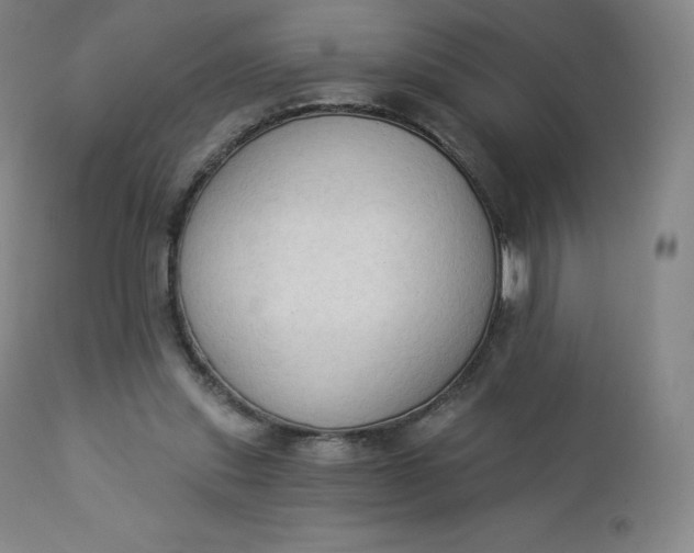 X0000112860253200909041600