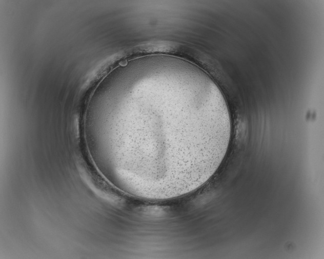 X0000112860254200909041600