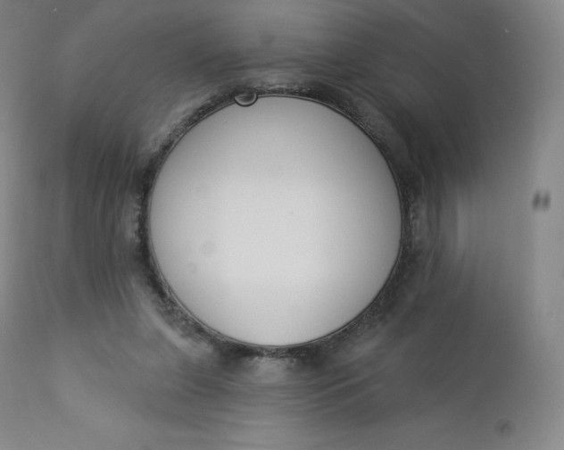 X0000112860255200909041600