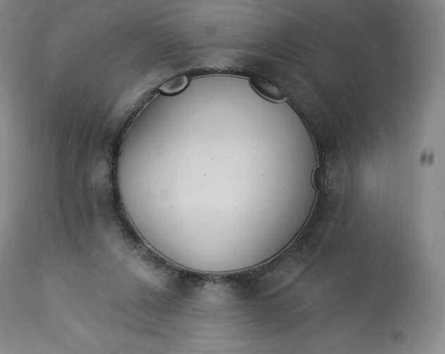 X0000112860256200909041600