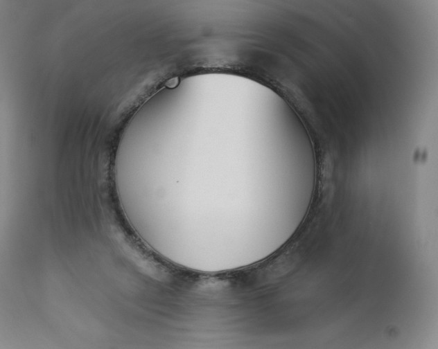 X0000112860257200909041600