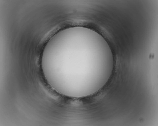 X0000112860258200909041600