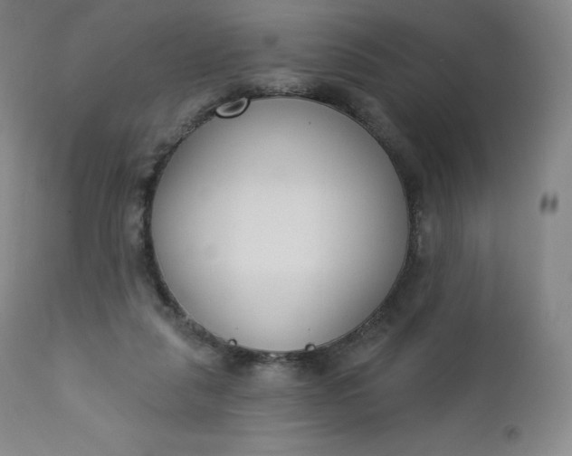 X0000112860259200909041600