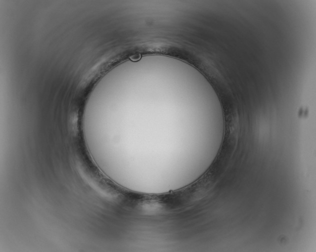 X0000112860262200909041600