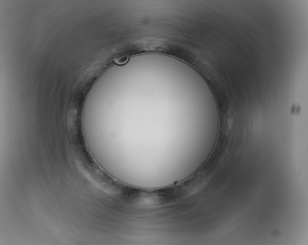 X0000112860263200909041600