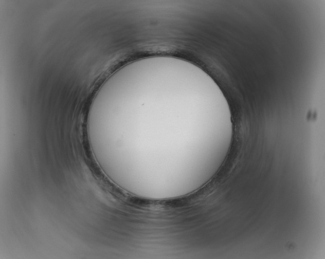 X0000112860264200909041600