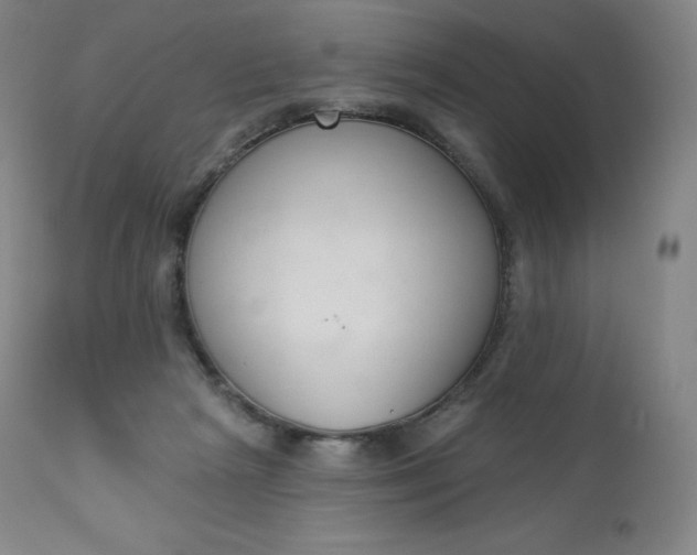 X0000112860265200909041600