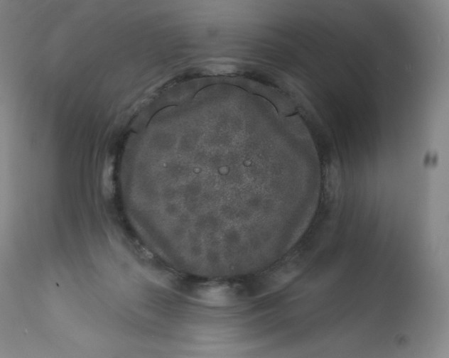 X0000112860267200909041600