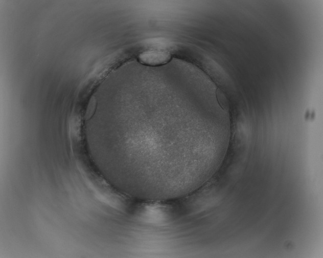 X0000112860268200909041600