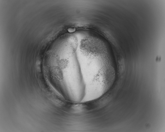 X0000112860269200909041600