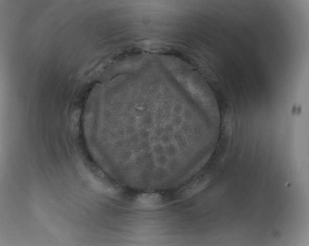 X0000112860271200909041600