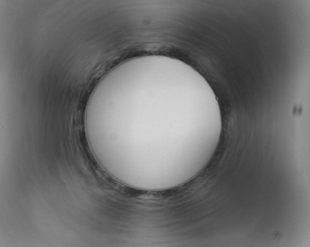 X0000112860272200909041600