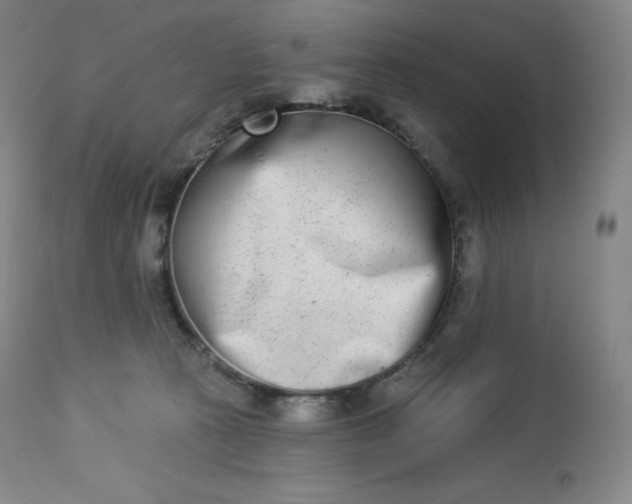 X0000112860273200909041600