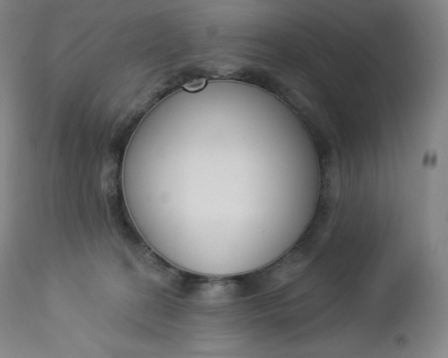 X0000112860274200909041600