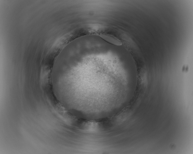 X0000112860276200909041600