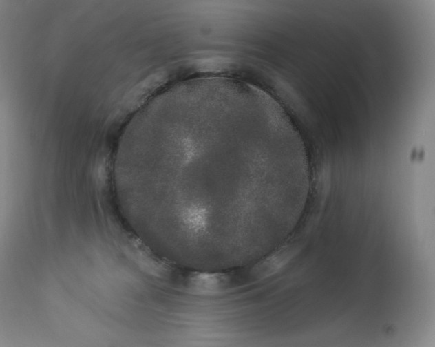 X0000112860277200909041600