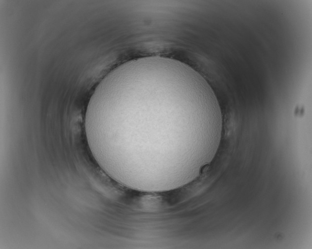 X0000112860279200909041600